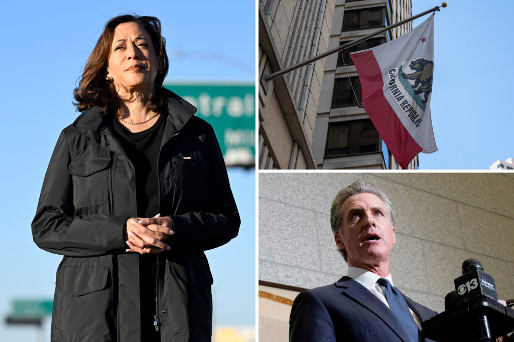 "No One" excited with Kamala Harris "potential GUBNATORIAL RUN, according to California donors